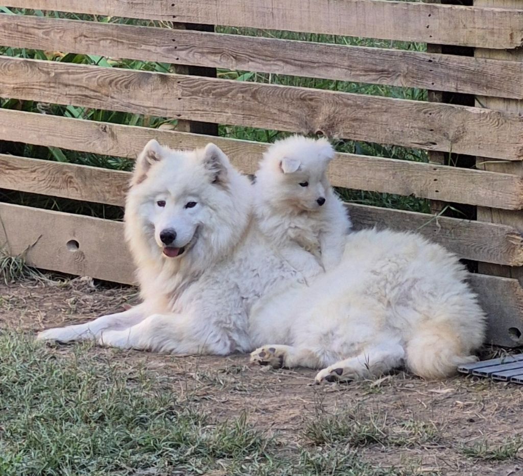 Pretty girl phoebe D'Obreika